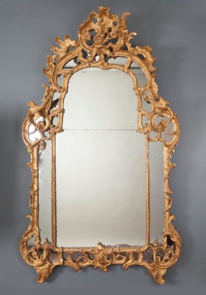 null Grand miroir à parecloses en bois sculpté et doré à décors de rinceaux, feuillages,...