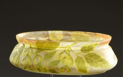 GALLE Gallé 

Coupe ovale en verre gravé à l'acide à décor de feuillages verts sur...