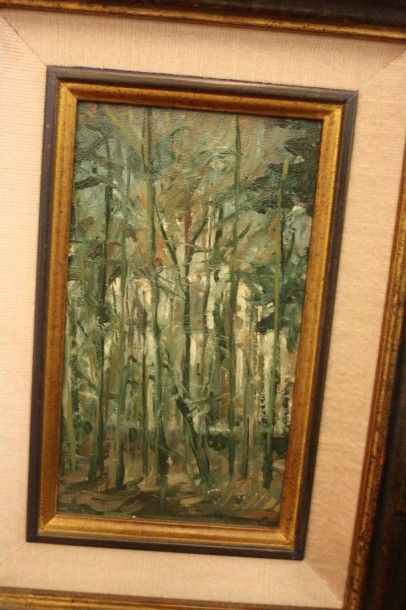 null Forêt, huile 