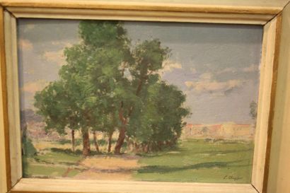 null E. Chepfer, paysage, huile sur carton, signée en bas à droite 