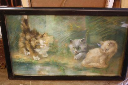 Pastel, trois chatons, signé en bas à droite...
