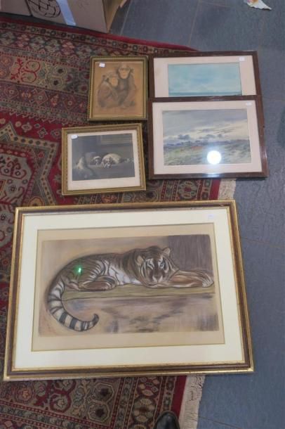 null Lot de dessins, aquarelles, dont représentations de tigre et singes