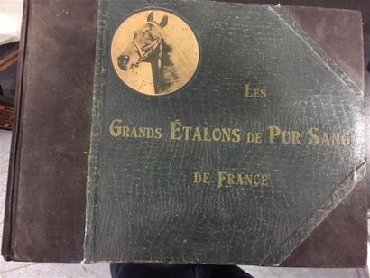 null Les grands étalons de pur sang de France. 1922. Un volume.