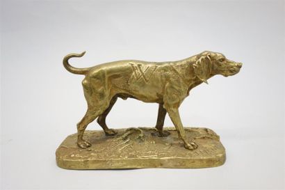 null Pierre Jules Mène (1810-1879)
" Chien courant (Wagram) " 
Bronze à patine dorée....