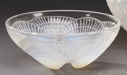 null René Lalique (1860-1945)
Coupe modèle " Coquille " en verre moulé pressé blanc...