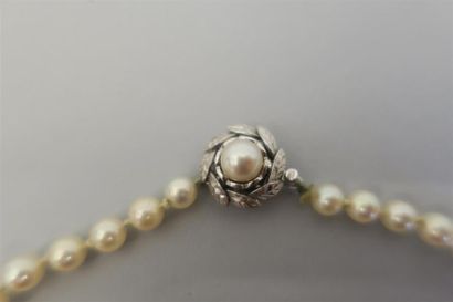 null Collier de perles de culture en chute, fermoir en or gris 18K (750/oo) ciselé...