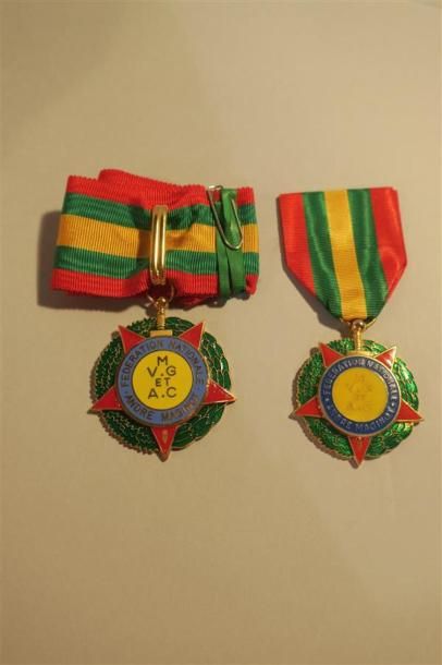 null France-Médailles fédération Maginot chevalier et commandeur, lot de 2