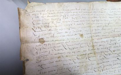 null [LYON]. LYON, 17 MAI 1572. Document manuscrit, sur vélin (61 x 49 cm). Signatures....