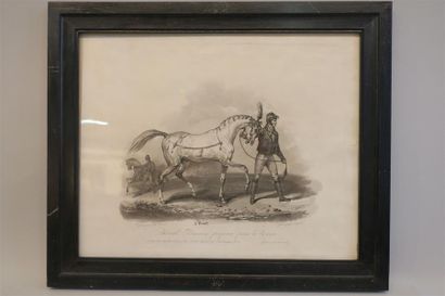 null Carl VERNET (1758-1836).
Cinq gravures représentant des cavaliers et leurs montures,...