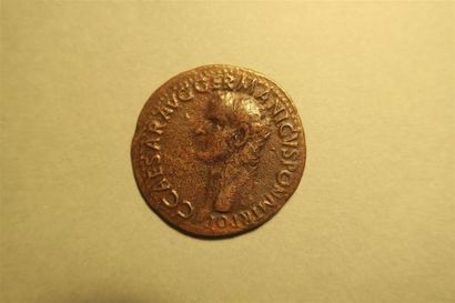 null CALIGULA (37-41 fils de germanicus et agrippine) AS de cuivre, 8g94, RIC 38,...