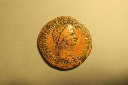 null AGRIPPINE SENIOR : Piece frappée en 37-41 à Rome par Caligula en l honneur de...