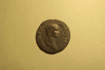 null ANTONIA (Mére de Claude ,née en 36 av JC) Piece frappée en 41-42 à Rome : Dupondius...