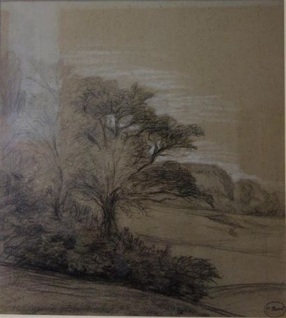 Paul Borel (1828-1913). Paysage. Fusain et...