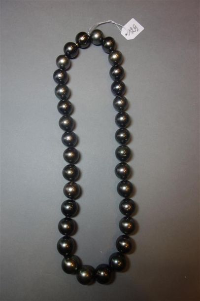 null Collier de perles de Tahiti grises diamètre 13,8 x 15 mm, le fermoir dans une...
