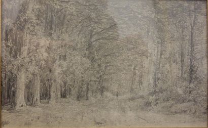 null Felix Ziem (1821-1911)
"Sous bois"
Mine de plomb sur papier
9 x 14 cm
Provenance...