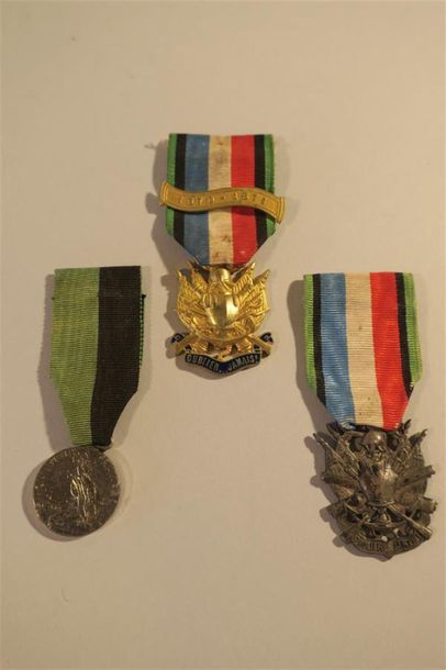 null FRANCE. Médaille des VETERANS de terre et de mer, guerre 1870, vermeil, Médailles...
