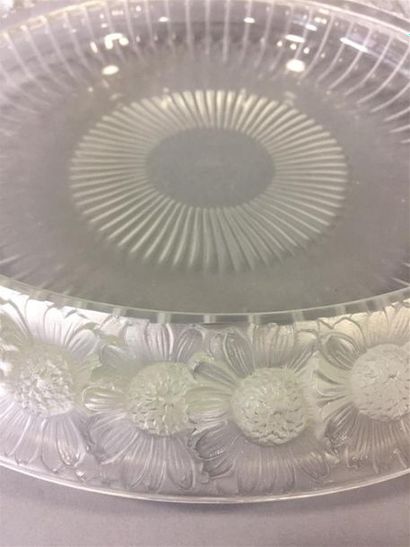 null LALIQUE FRANCE 
Coupe circulaire " Marguerite " en cristal 
moulé-pressé translucide....