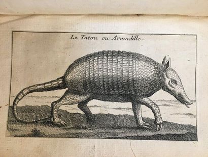 LAMARCK. — BOTANIQUE Collection of 29 18th century engravings, including 27 exotic...