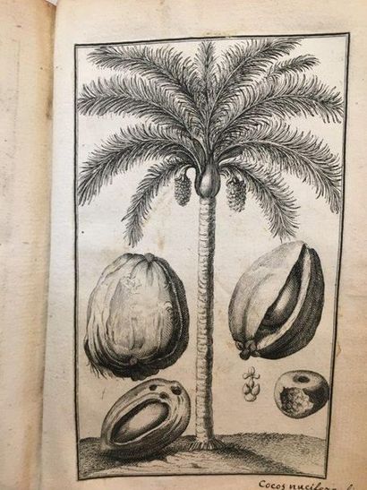 LAMARCK. — BOTANIQUE Collection of 29 18th century engravings, including 27 exotic...