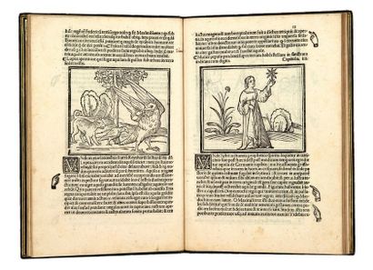 LICHTENBERGER (Johannes) Pronosticatio in latino. S.l.n.d. [Venise, Niccolo & Domenico...