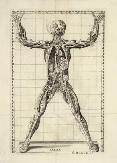 WINSLOW (Jacques-Bénigne) Expositio anatomica structurae corporis humani. Venise,...
