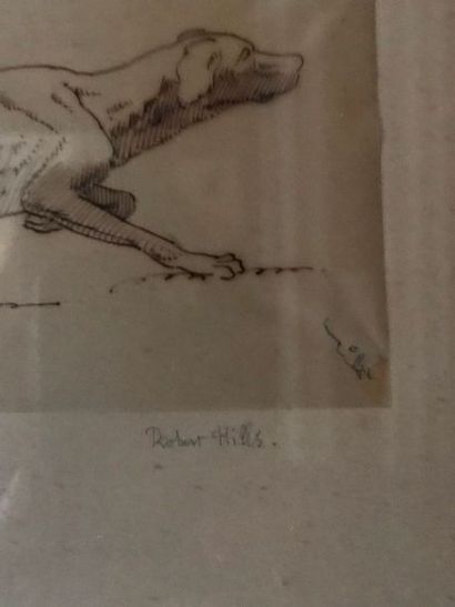 Ecole du XIXème siècle 
Etude pour chiens de chasse
Encre sur papiers calques
Porte...