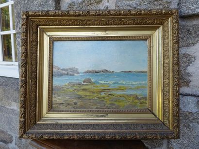 Mathias SCHIFF (1862-1886) 
Rochers à marée basse
Huile sur toile signée