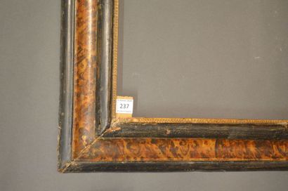 null RVERSE PROFILE FRAME in gilded and painted moulded wood with faux tortoiseshell...