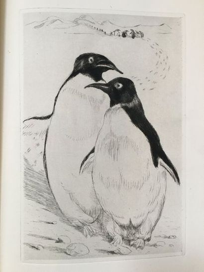 France (Anatole). L'Île des pingouins. Paris, Éditions Lapina, 1926. 2 volumes in-4,...