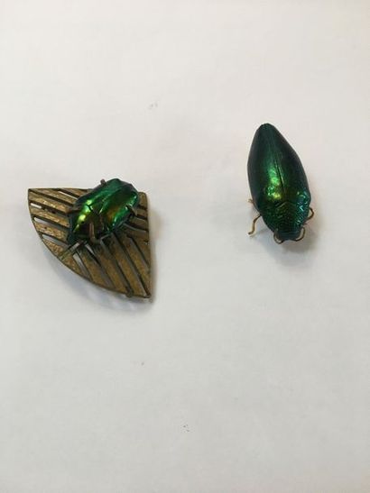 Deux broches scarabées monture en métal