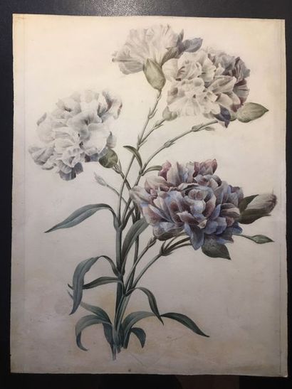 École FRANÇAISE du début du XIXe siècle 
Fleurs
Aquarelles 21,5 x 16,5cm
15 x 20...