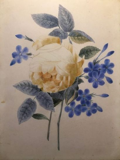 École FRANÇAISE du début du XIXe siècle 
Fleurs
Aquarelles 21,5 x 16,5cm
15 x 20...