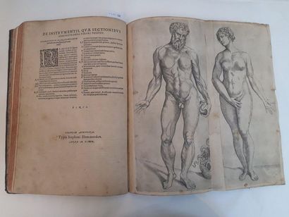 VÉSALE (André). [KNOCKING (Hendrick)] Anatomia Viri in hoc Genere Principale. Amsterdam,...