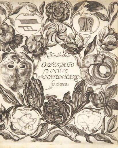 STÉNON (Nicolas). De musculis & glandulis observationum specimen. Copenhague, Matthias...
