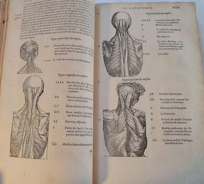 PARÉ (Ambroise) The Works. Fourth Edition. Paris, Gabriel Buon, 1585. In-folio, marbled...