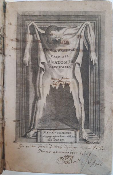 BARTHOLIN (Thomas). Anatomy. Tertium ad sanguinis Circulationem reformata. The Hague,...