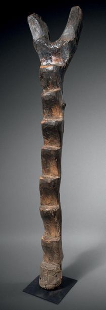 null ECHELLE DE GRENIER DOGON, MALI
Bois dur à patine brun foncé noir
H. 225 cm
Échelle...