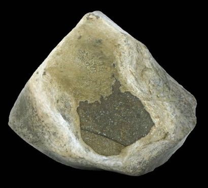null Chondrite découverte dans l'Atacama
Atacama, Chili
Poids : 300 g
H. 60 mm -...