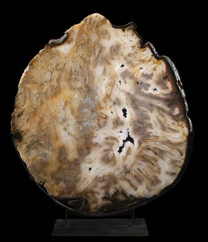 null Agate
slice Tabajaran mine, Rio Grande do Sul, Brazil
H. 72 cm - W. 65 cm
AGATE...