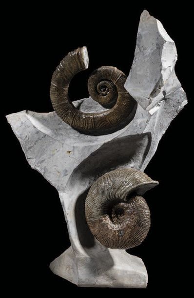 null UNUSUAL AMMONITE PAIR
Crioceras curnieri & Olcostephanus sayni
Cretaceous
Provence...