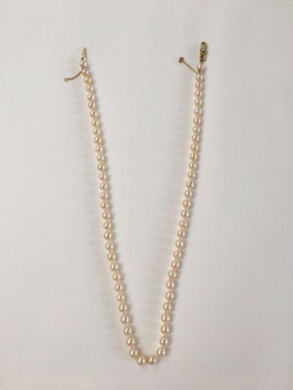 null Set of two pearl necklaces:
- Pearl necklace with silver clasp decorated with...