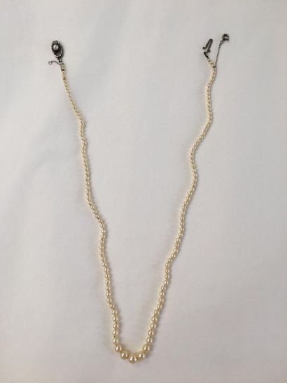 null Set of two pearl necklaces:
- Pearl necklace with silver clasp decorated with...
