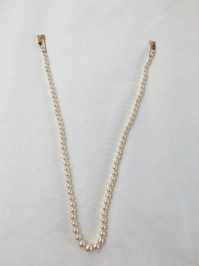 null Falling pearl necklace, cultured
pearl 18 K yellow gold clasp.
P. Raw: 19.3...