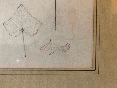 REMBRANDT BUGATTI (1894-1916) 
Etude de feuilles
Crayon sur papier
Cachet de la signature
Cachet...