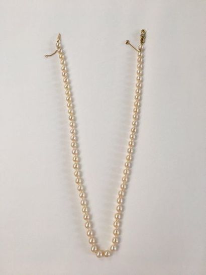 null Collier de perles le fermoir en or jaune 18k orné d'un diamant

Longeur: 87...