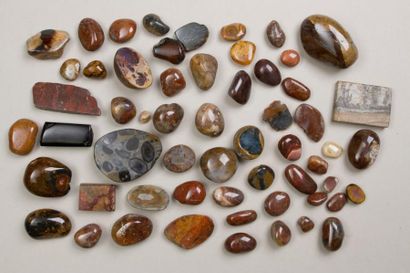 null Ensemble d'une soixantaine de pierres telles que: jaspe multicolore, marbre,...
