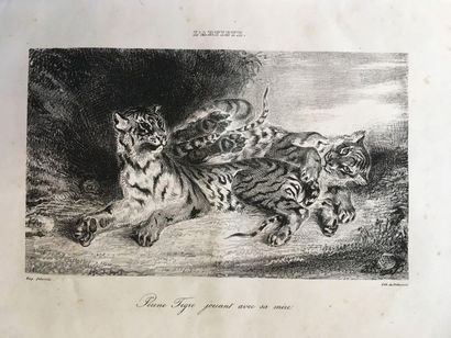 null Eugène DELACROIX (1798-1863)_x000D_


Jeune tigre jouant avec sa mère_x000D_


Lithographie


20,5x27,5...