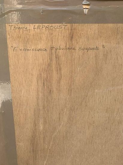 null Thierry LEPROUST (1948)_x000D_


Excroissance tubulaire suspecte_x000D_


Technique...