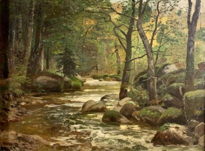 Wilhelm SCHROETER (1849-1904) 
Paysage de forêt
Huile sur isorel signée en bas à...