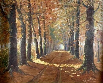 Achille KETTELLE (actif au XXe siècle) 
The big aisle
Oil on canvas signed lower...